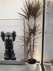 -松源造型