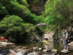 -少华山国家森林公园