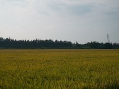 -嘉北郊野公园