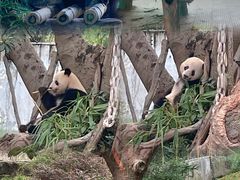 -广州动物园