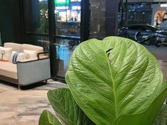 -铂尔登国际酒店(南山深圳湾口岸店)