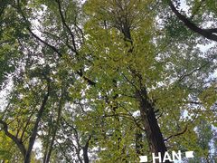 -汇龙潭