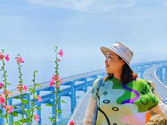 -星海湾跨海大桥