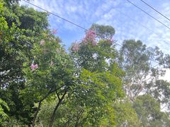 -广州市白云山风景名胜区