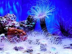 -上海海洋水族馆