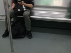 -飞翔公园(地铁站)