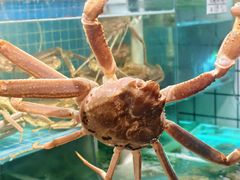 -震海贝烤贝·民俗特色店(延吉总店)