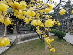 -西安化觉巷清真大寺