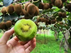 -友阿国际广场(邵阳店)