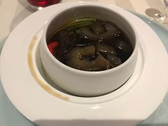 -诺莱仕游艇会