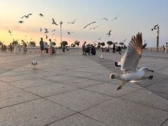 -东港音乐喷泉广场