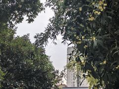 -西安大兴善寺