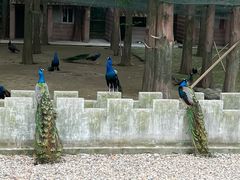 -南京金牛湖风景区