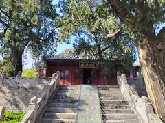 -华山风景区-华阳宫