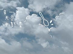 -广东惠东海龟国家级自然保护区
