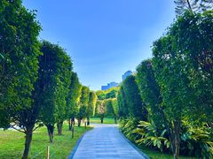 -荔香公园