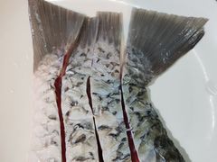 -正能量脆肉鲩火锅