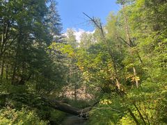 -峡谷浮石林景区