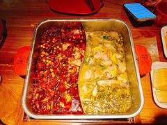 -舒来喜鱼锅(伊河路店)