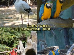 -杭州野生动物世界