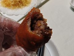 -丁老爷子苏香圆
