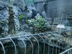 -北京动物园
