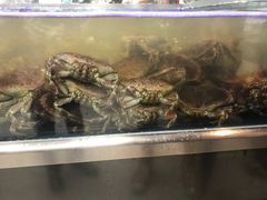 -盒马鲜生(大成店)