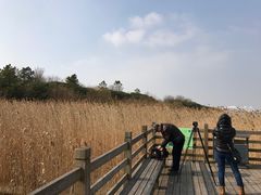 -吴淞炮台湾湿地森林公园烧烤区