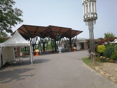 -上海长兴岛郊野公园