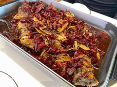 -鱼酷活鱼烤鱼(高新阳光天地店)