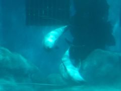 -福州罗源湾海洋世界旅游区