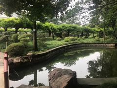 -嘉定紫藤园