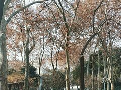 -长乐公园游乐场