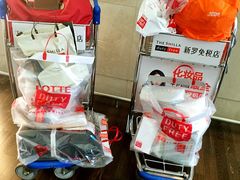 乐天免税店(明洞店)-乐天免税店(明洞店)