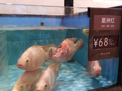 -徐记海鲜(开福寺|伍家岭店)