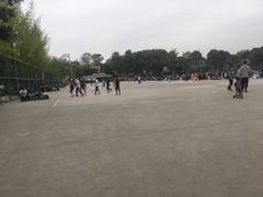 球场-西南交通大学九里校区-篮球场