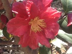 -苏州河梦清园环保主题公园