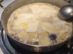 -洪氏嗨捞·广东猪肚鸡·椰子鸡火锅(西咸万象城店)