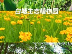 -白塘生态植物园