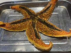 -众想海鲜·烧烤·海肠捞饭·渔家菜(孙家疃店)