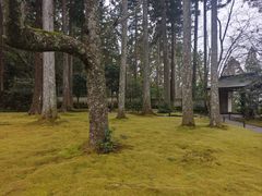 -三千院