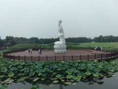 -荷塘月色湿地公园·向阳花洲