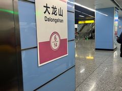 -大龙山(地铁站)