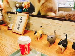 -猫在这儿猫咪咖啡馆·撸猫馆