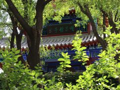 -济南大明湖景区