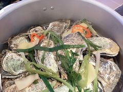 -千岛蚝高压锅生蚝·人参火锅(白云万达店)