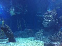 -暹罗海洋世界