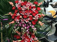 开业、祝福花篮-容玉花店