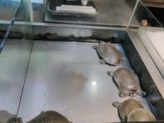 -春盛渔府(牛首山店)