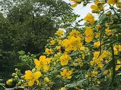 -贵阳市花溪国家城市湿地公园